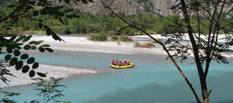 LE MAS DES ALBERGES.