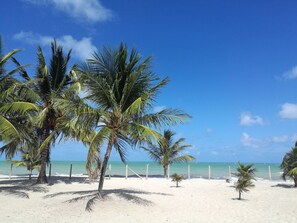 On the beach - Manga Verde Beach 02: Garden and Beach view H (Itamaraca)