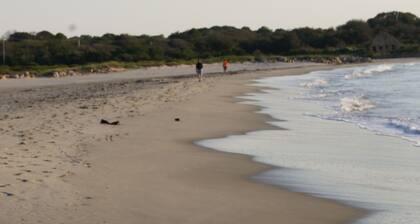 Adorable Cottage, short walk to Scarborough Beach.