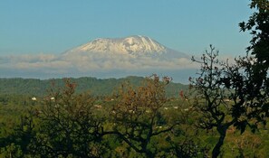 Photo non classée, 2 sur 9, bouton