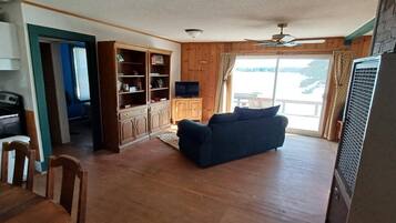 TV, DVD player, books, video library