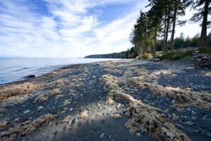 Una playa rocosa con árboles y cielo despejado.