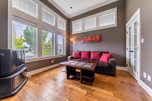 TV connectée, cheminée, lecteur de DVD, livres