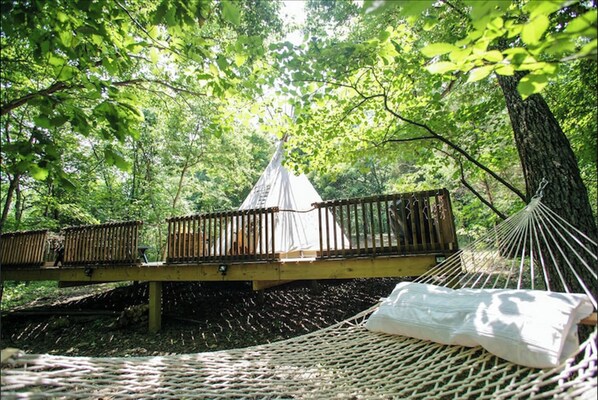 Terrain de l’hébergement 