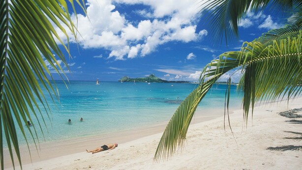 A beach with clear turquoise water, a person lying on the sand, and palm trees. - Rodney Bay Beach Home near EVERYTHING (Rodney Bay)