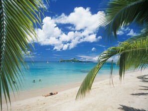 A beach with clear turquoise water, a person lying on the sand, and palm trees.