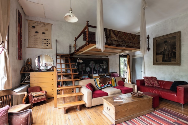 TV, fireplace, DVD player, books