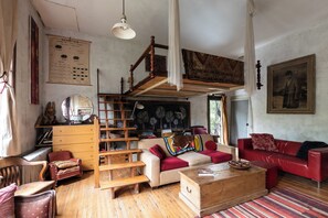 TV, fireplace, DVD player, books