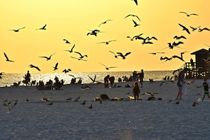 Sillas reclinables de playa, toallas de playa