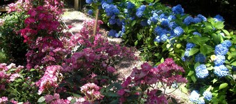  Water Front DREAM vacation, whole house AC, Free wi-fi, linen&towels, fire pit,