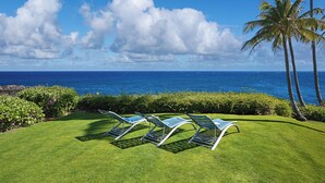 Un espace verdoyant avec trois chaises longues donnant sur l’océan et les palmiers.