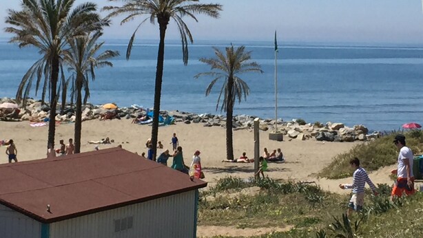 A beach with palm trees and people.