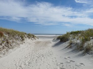 En sandig stig som leder till havet, omgiven av sanddyner med gles vegetation.
