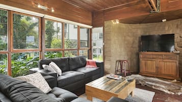 Smart TV, caminetto, lettore DVD, libri