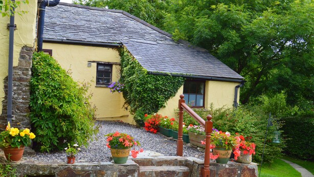A quaint house with a stone staircase leading to a wooden door, surrounded by lush greenery and potted plants. - Small, Select Development Of Holiday Cottages (Hartland, Bideford, Devon)