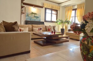 Télévision, cheminée, livres, espaces bureaux