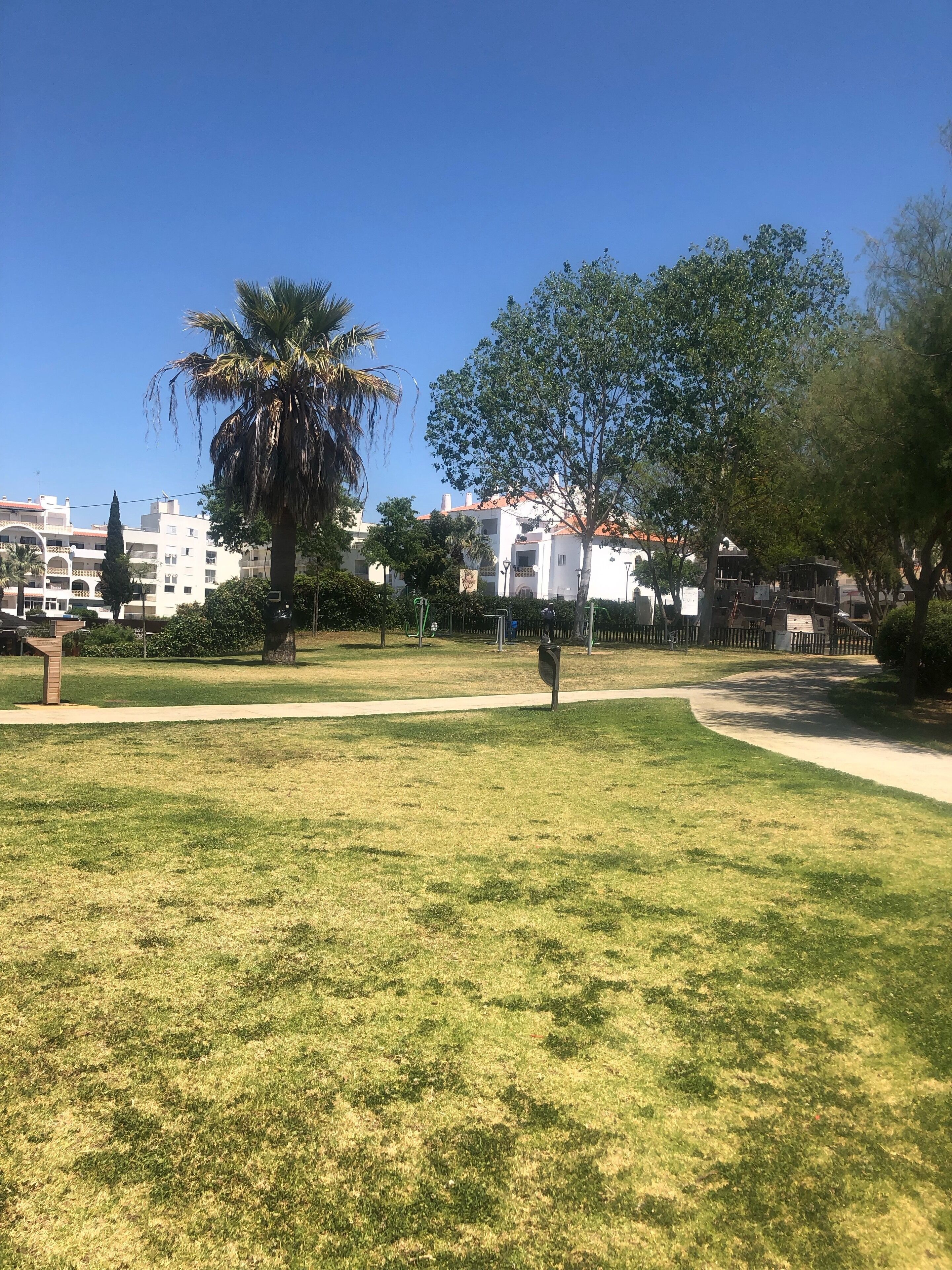 A park with a pathway, palm trees, and a building in the background.