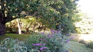 Un jardin agrémenté de diverses plantes et fleurs, notamment des variétés aux couleurs pourpre et rouge, ainsi qu’une terrasse en bois.