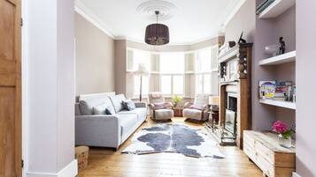 TV, fireplace, video games, DVD player