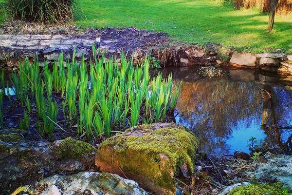 Parco della struttura