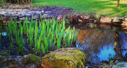 A spacious yet cosy eco converted dairy barn, situated within a vineyard.