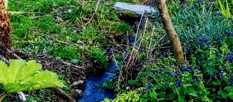 A spacious yet cosy eco converted dairy barn, situated within a vineyard.