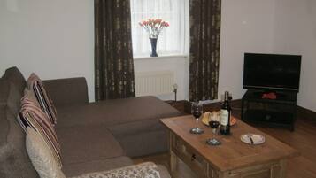 TV, fireplace, DVD player