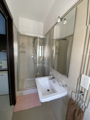 Shower, hair dryer, towels