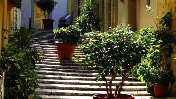 Una estrecha escalera de piedra flanqueada por macetas con plantas, que conduce a un edificio amarillo con una puerta en la parte superior.