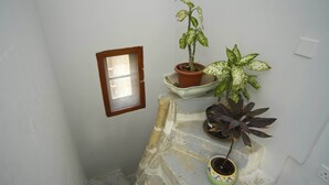 Un espacio pequeño y cerrado con una ventana, una planta en maceta y una mesita.