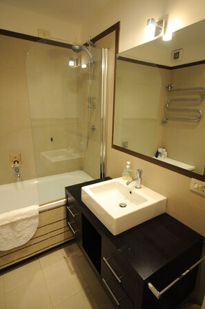 Combined shower/tub, hair dryer, bidet, towels