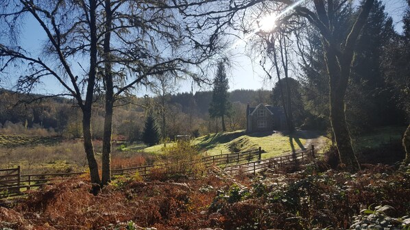 Property grounds - Exclusive Unique Woodland House Loch Ard Forest/ The Trossachs Aberfoyle (Aberfoyle)