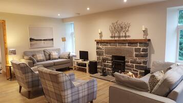 Una Smart TV, una chimenea, un reproductor de DVD