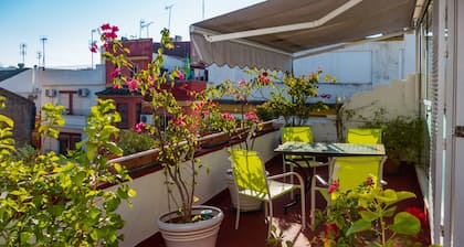 House with terrace in the center of Seville with wifi, air conditioning and garage