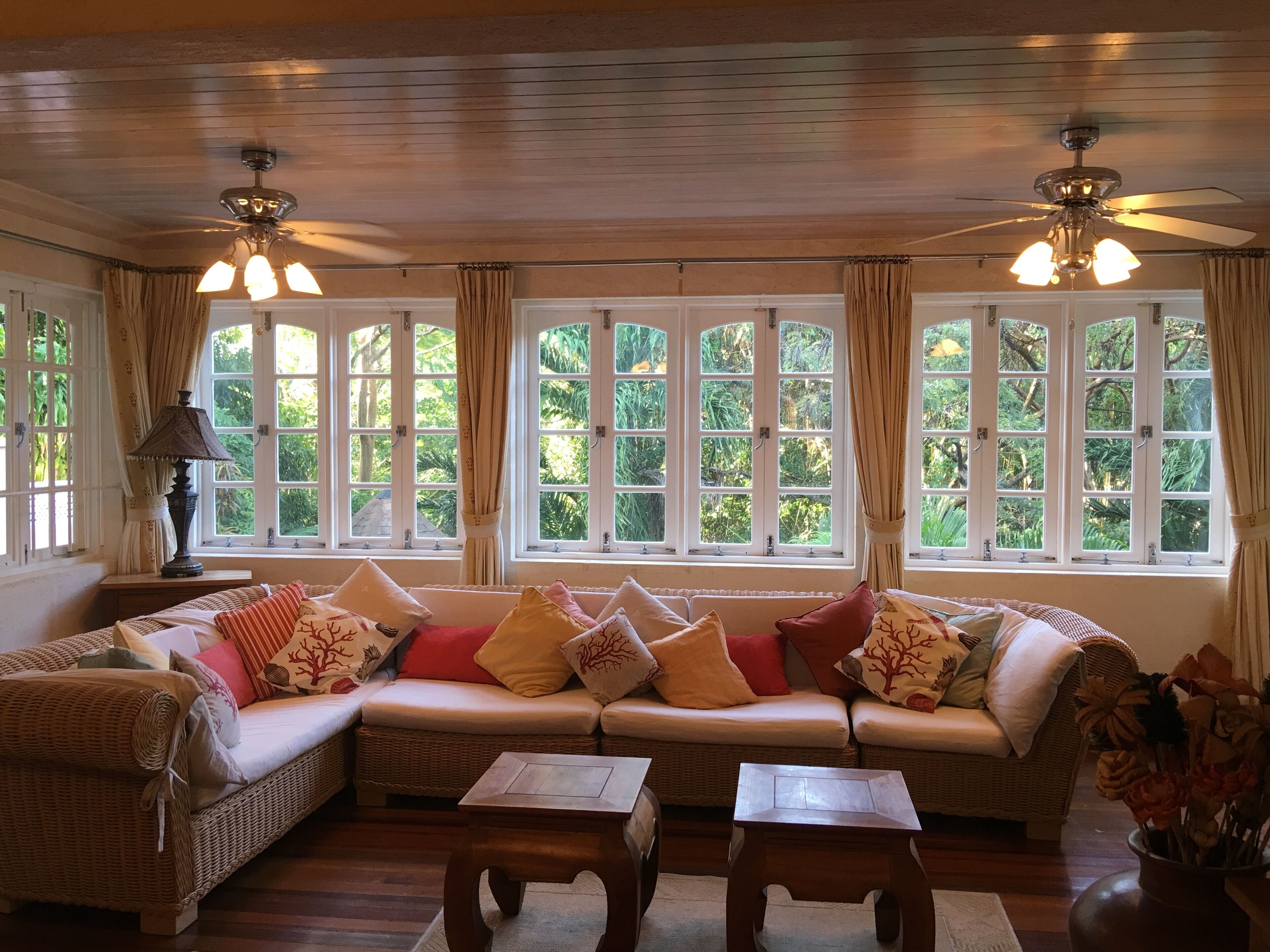 TV, DVD player, books