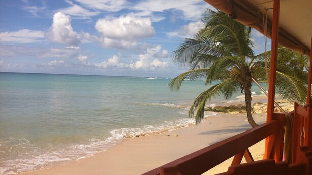 Blick auf einen Strand mit Holzwertung, Palmen und blauem Himmel.