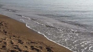 Una playa arenosa con huellas que se adentran en el agua.