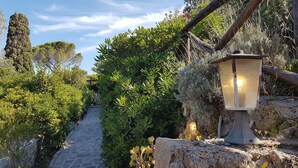 A stone pathway flanked by lush greenery and a lantern post.