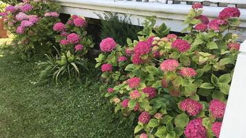 DĂ©tail de lâextĂ©rieur