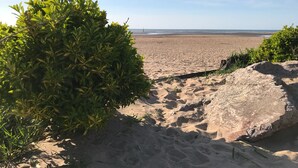 En sandstrand med klart himmel, en stor klippe og frodig, grøn vegetation.