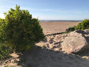 Nær stranden