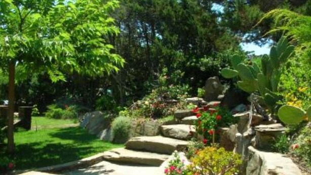 A garden with a stone pathway, various plants, and a tree. - House / Villa - STINTINO (Stintino)