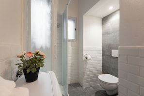 Dusche, Haartrockner, Bidet, Handtücher