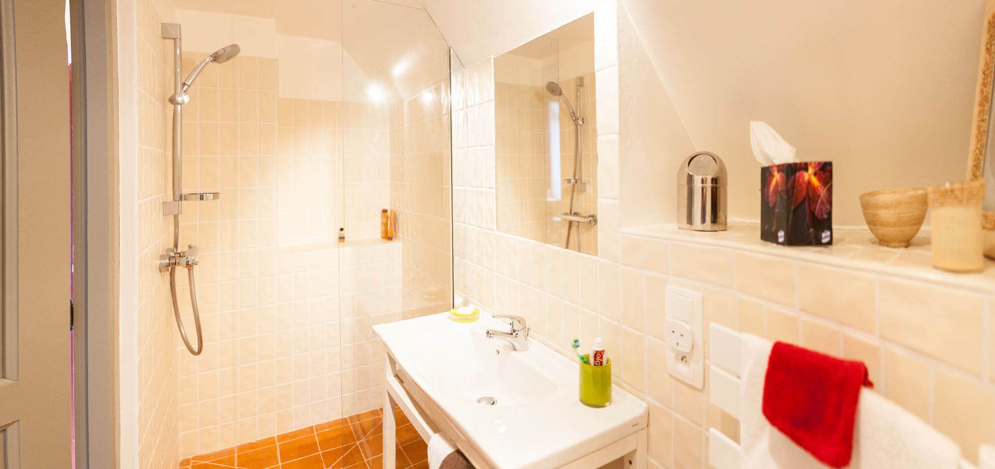 Een moderne badkamer met een douche, wastafel en spiegel.