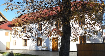 Sleeps 12 Farmhouse on the Beautiful Šentviška planota