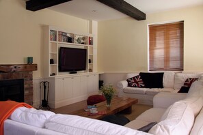 TV, fireplace, DVD player, books