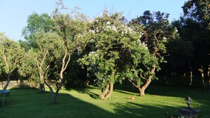 A well-maintained garden with mature trees, a lawn, and a small fountain. - Recently refurbished barn, close to coast, pet friendly with a secure garden. (Lessingham)