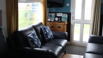 TV, fireplace, DVD player