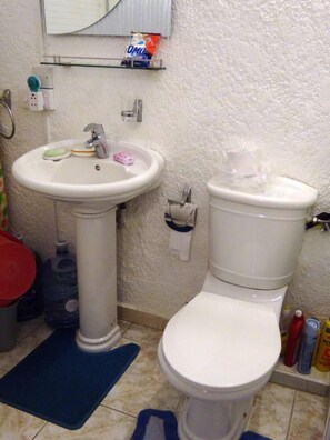 Shower, hair dryer, towels, soap - Modern studio in a secure and quiet residence, 150 mts from the beach (Flic en Flac)