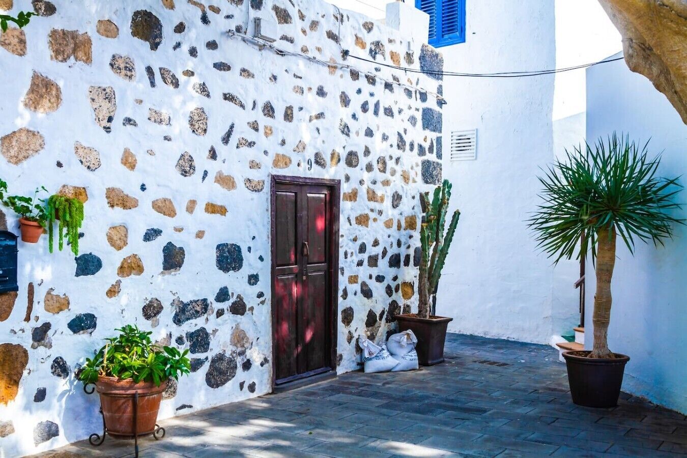 A narrow stone-walled alley with a door, potted plants, and a palm tree.